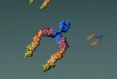 이뮤텝, ‘sLAG-3+키트루다’ 폐암 3상 “실패”, 주가 88%↓