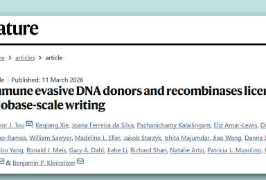MGB, ‘단일가닥 DNA’ 대용량 유전자편집 “네이처 논문”