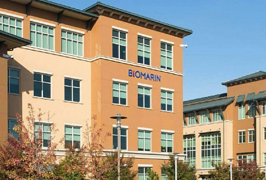 바이오마린, ‘복스조고’ 후속 적응증 3건 “모집 중단”