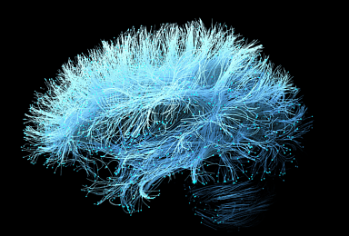 SK바이오팜, '세노바메이트' 뇌전증 