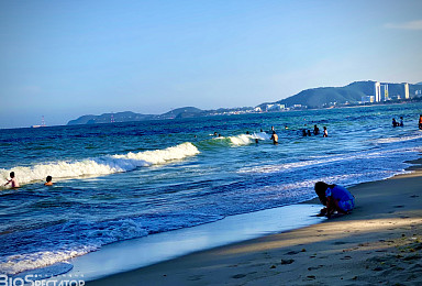 웨이브, 비만 'siRNA' 체중감량 1% 실망 