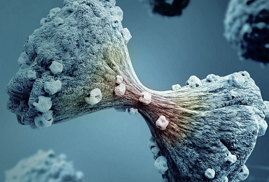 오릭, ‘PRC2’ 전립선암 1b상 ‘기대 이하’, 주가 30%↓