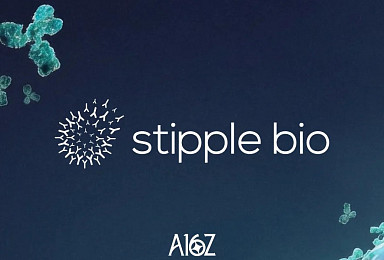 스티플, 시리즈A 1억弗..’암특이 에피토프’ ADC “내년 임상“