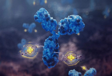 리제네론, ‘항체 RPT’ 본격 진입 “계약금 4000만弗 딜”