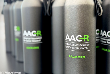 HLB, 新접근 ‘KIR CAR-T’ 고형암 1상서 