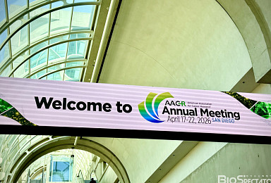 오름, 내약성 개선 'CD123 DAC' AML 