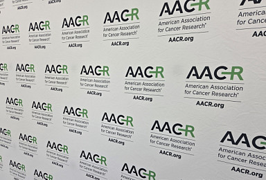 암젠, 'CCR8 항체' 효능저조..