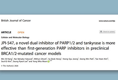 온코닉, 'PARP/TNKS' PARP내성 모델서 효과 