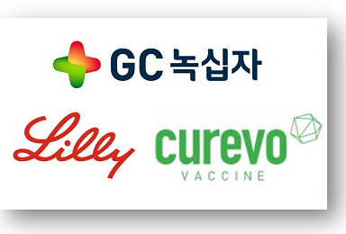 릴리, GC녹십자 美관계사 '큐레보백신' 15억弗 “인수”