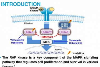 한미약품 항암제 'HM95573' 임상결과 살펴보니..