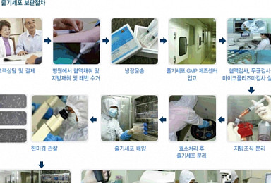 [단독]법원 “줄기세포 보관ㆍ배양사업=의약품 제조행위