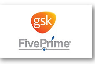GSK, 파이브 프라임 호흡기질환 치료제 독점 계약