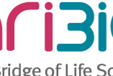 아리바이오, 치매치료제 내년 한·미서 임상2상 추진