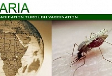 사나리아, 말라리아 백신 ‘PfSPZ’ FDA 신속심사 지정