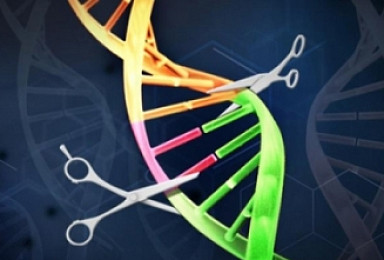 툴젠, 100억원 투자유치..