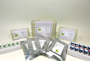 젠큐릭스, 국내 최초 '유방암 예후진단키트' 식약처 허가