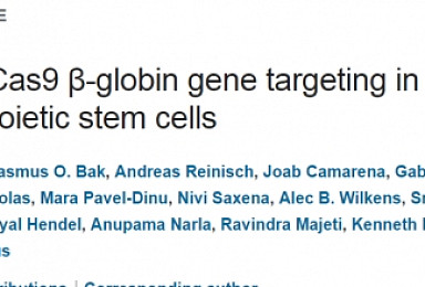 CRISPR 이용 겸상적혈구병 치료관련 논문 네이처 게재