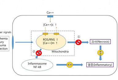 LG생명과학 ‘NecroX’, 유방암 전이 억제 효과 확인