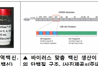 국내개발 '바이러스 변종 조기대응' 구제역 백신 해외진출