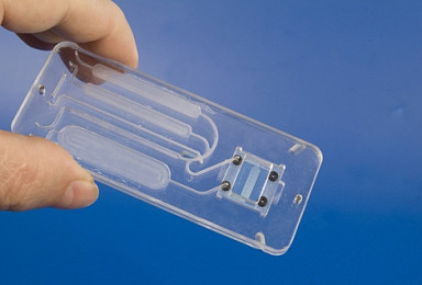 '바이오' 문 두드리는 반도체업계 