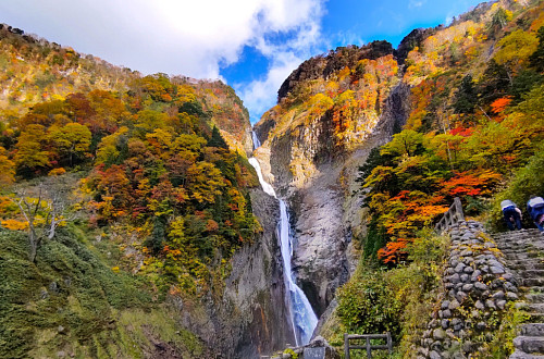 아직 늦지 않은 일본 가을 단풍여행