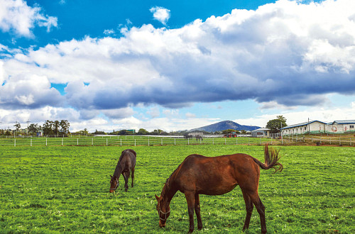 언제나 자연이 숨 쉬는 섬, 제주