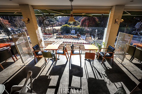 말을 못 할 뿐, 나무도 사람과 같다 교감하라! 갈 길이 보인다