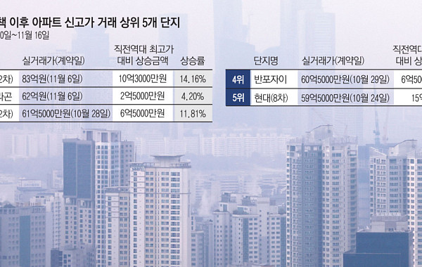 10·15 대책 역효과?…고가 아파트 상승 지속 ‘강남불패 심화’