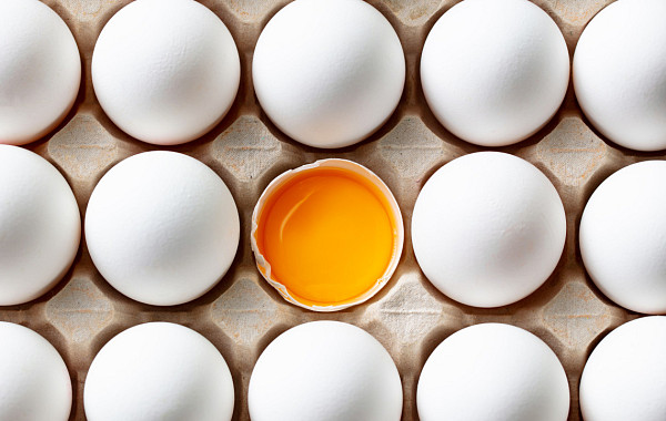 계란 속 하얀 실 ‘알끈’⋯요리에서 빼야 할까? [에그리씽]