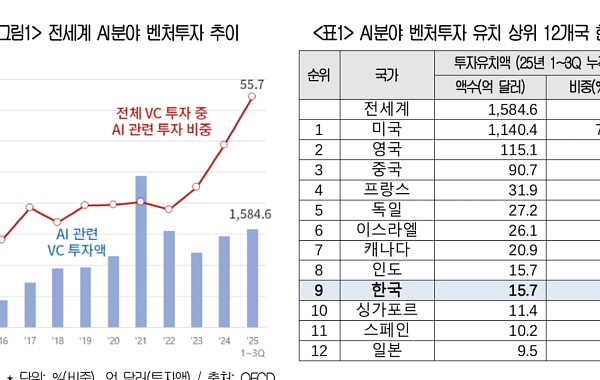 한국, AI 벤처투자 유치 세계 9위…글로벌 시장 비중 1% 그쳐