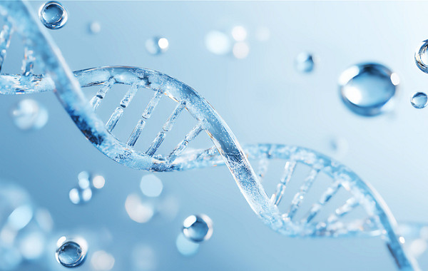 美FDA 허가 ‘0’…미승인 블록버스터 바이오시밀러 선점 경쟁 본격화