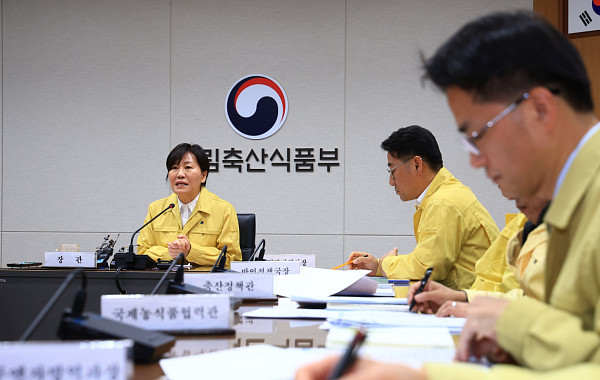 감염력 10배 AI 확산 비상…정부, 1월 한 달 ‘전국 방역 총력전’