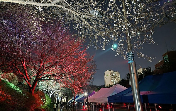 이번 주 전국은 꽃대궐…주말 나들이, 여기가 명당[주말&]