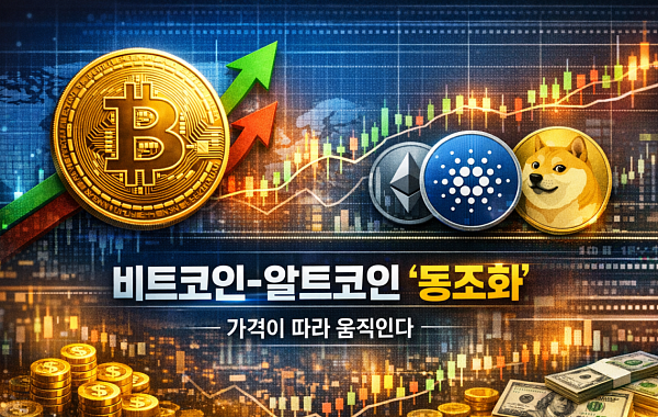비트코인이 오르면 알트코인도 뛸까…시장 ‘동조화’의 진짜 이유 [e가상자산]