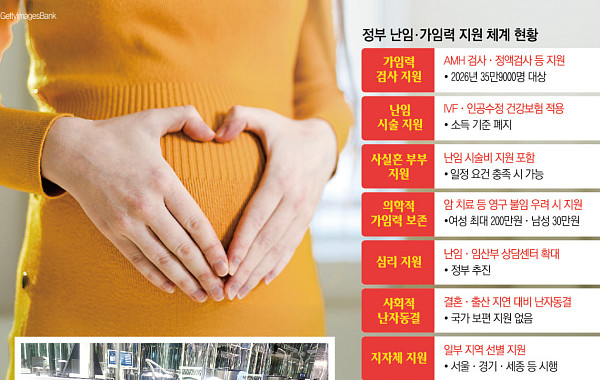 "난임은 지원, 사회적 냉동은 제외"…'난자동결' 국가 책임은 어디까지 [붙잡은 미래, 냉동난자 下]