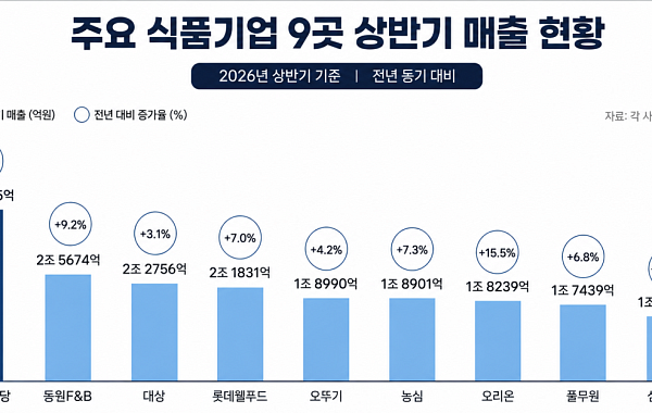 불닭·초코파이 해외서 날았다…식품업계, 상반기 실적 ‘활짝’ [종합]