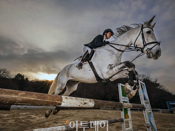 병오년, 한국경제 '발굽을 높이 들다' [포토로그]