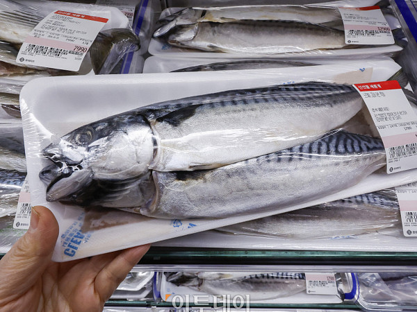 '국민생선' 고등어 가격 고공행진 [포토]