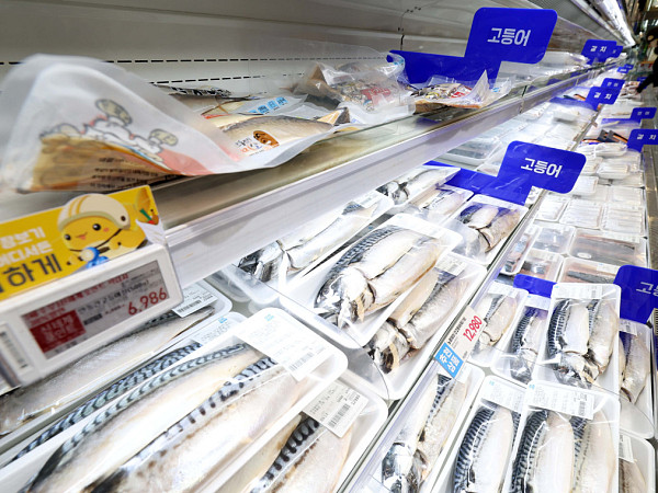 정부 '대형마트서 고등어 최대 60% 할인' [포토로그]