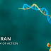 사일런스, ‘희귀혈액암 RNAi’ 2상 "성공"..주가 42%↑