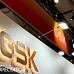 GSK "베팅", 알렉토 'PGRN' 치매 3상 실패.."절반 해고"