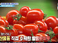 '6시내고향 상생장터', 충남 서천수산물특화시장 방울토마토ㆍ박대ㆍ주꾸미 홍보 "함께 삽시다"