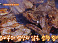 강부자 나이 여든에 되살아난 입맛…식객 허영만과 순창 숯불돼지갈비ㆍ생고사리조기탕ㆍ죽순우렁된장찌개에 빠지다