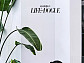 이태성, 반려견 몬드X카오와 찰떡 케미 발산[화보]