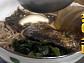청주 청어 온소바·튀김 덮밥 달인 맛집, 24년 경력 일식 전문 '생활의 달인'