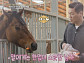'이웃집 백만장자' 김기영 대표의 승마장 사랑