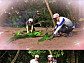 '정글의 법칙' 이특♥장희진, 러브 라인 활활 "가상 결혼 같아"