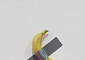 테이프로 벽에 붙인 바나나가 1억원? 마우리치오 카텔란 도발적 전시 만난다