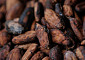 카카오 품귀에 귀한 몸 된 초콜릿...서아프리카 구조적 문제 해결 시급