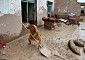 아프간, 홍수로 300명 이상 사망…국가비상사태 선언